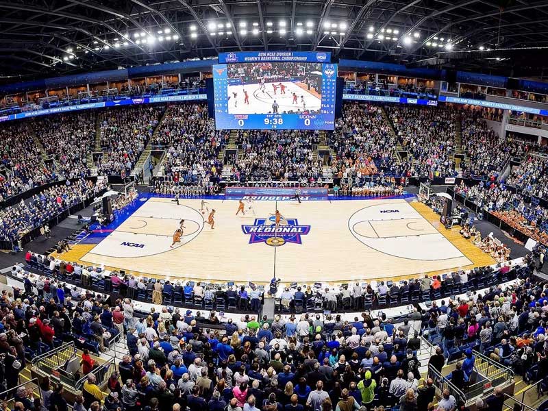 室内篮球馆照明灯价格多少？